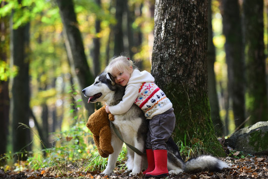 Cute little girl hugging husky dog in park. Good sunny weather, bright sunlight and cute models
