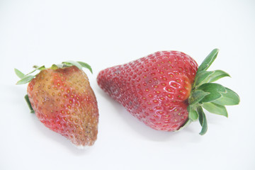 Comparation of Strawberry, fruit, São Paulo, Brazil