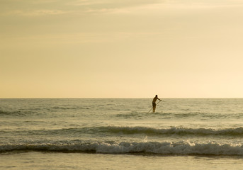 Fototapeta premium man in the ocean standing on paddle board during sunset