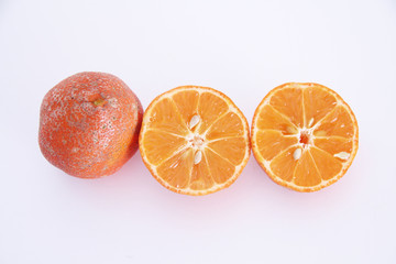 Lemon cravo, fruit, São Paulo, Brazil