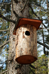 The nesting box, wooden lodge for birds on a tree trunk.