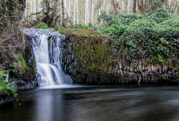 Fototapeta na wymiar waterfall in a river 