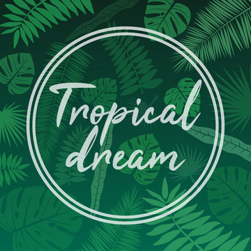 Vector image of a dark green background of tropical leaves with an inscription in the circle of a tropical dream. Botanical illustration.