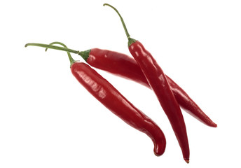 Chili Pepper Red Cayenne