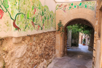 Italy, Foggia, Apulia, SE Italy, Gargano National Park, Vieste. Old city, pedestrian arched pathways, painted, grape-vine decorated streets.