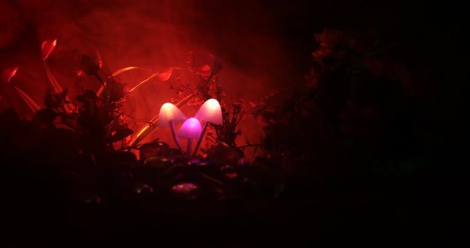 Three fantasy glowing mushrooms in mystery dark forest close-up. Beautiful macro shot of magic mushroom or three souls lost in avatar forest. Fairy lights on background with fog. Slider shot.