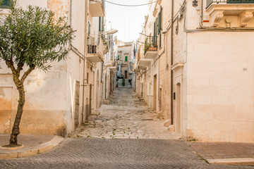 Obraz premium Italy, SE Italy, alleyways and streets. 