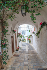 Italy, SE Italy, Ostuni. Narrow, arched old town . Cobblestone streets. Vine-covered. Doorways.The 