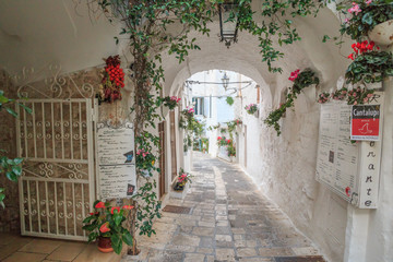 Italy, SE Italy, Ostuni. Narrow, arched old town . Cobblestone streets. Vine-covered. Doorways.The 