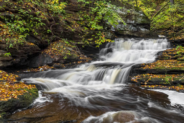 Fototapeta na wymiar Cascade in Ganoga Glen - Ricketts Glen State Park, Pennsylvania