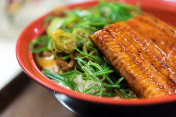 Bowl of rice and stew - Japanese cuisine, Tokyo, Japan. Close-up.