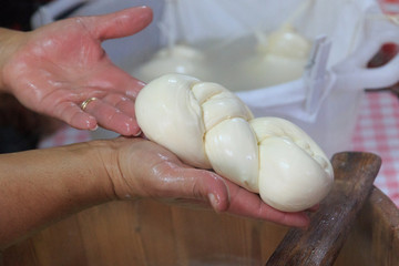 Italy, southern Italy. Puglia. Preparing cheese at a home.