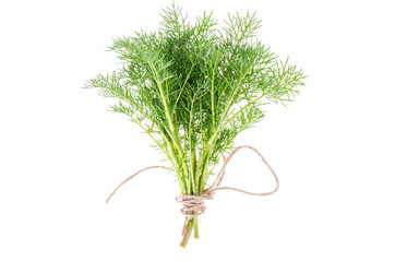 Bunch of green young shoots with roots