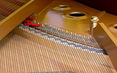Detail inside the piano with copper strings, pins and hammers