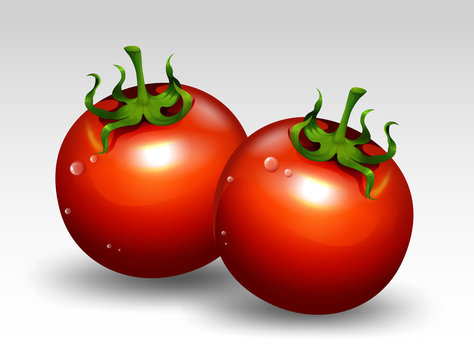 Red Tomato on White Background