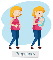 Pregnancy Woman and Baby on White Background