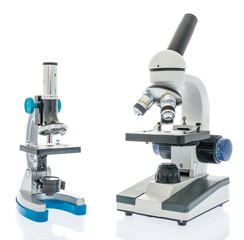 Pair of microscopes