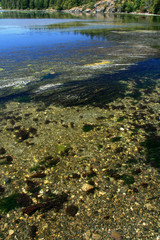 Coastline, Victoria, BC, Canada
