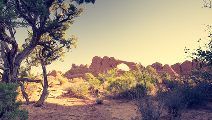 Obraz premium Vintage Look Desert Scene