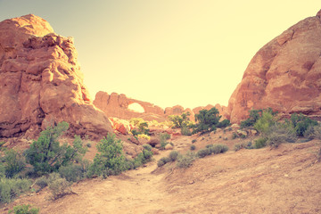 Vintage Look Desert Scene