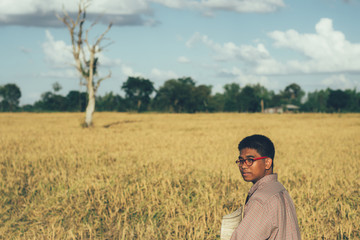 Naklejka na ściany i meble Brown Skin Farmer And His Rice Field