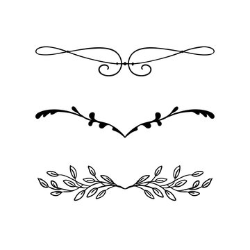 design element vector, beautiful fancy curls and swirls divider or underline design with ivy vines and leaves in black ink lines. Can be placed on any color. Wedding design element.