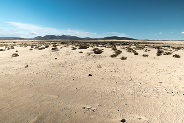 Dunas de Corralejo