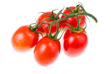 Branch of tomatoes isolated on white
