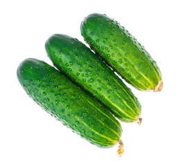 Three fresh green cucumbers isolated on white background