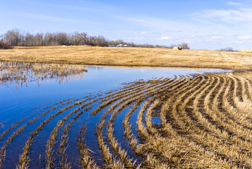 Agricultural field landscape in early spring