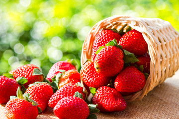 strawberries in natural background