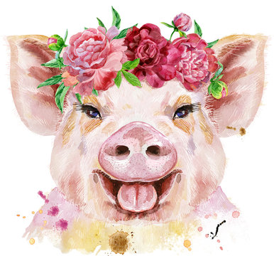 Watercolor portrait of pig