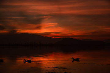 Naklejka premium A beautiful sunset at dal lake