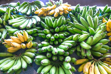 Green and yellow bananas on display for sale at Fugalei fresh produce market, Apia, Samoa