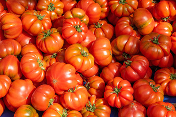 Ripped sicilian tomatoes for sale at a market