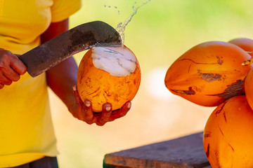 Man opening coconut © Anna Om