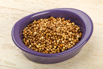 Coriander seeds