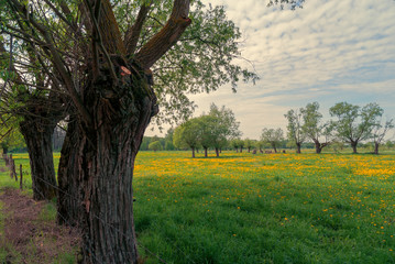 Wiosenny krajobraz Podlasia