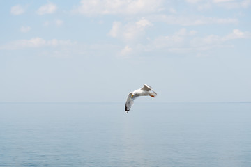 Blue Baltic sea.