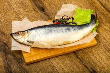 Herring fish