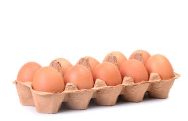 Fresh eggs