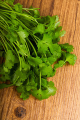 Coriander