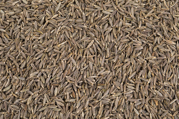 Background Texture of Dried Cumin Seeds Also Know as Caraway, jira or jeera Its seeds are used in the cuisines of many different cultures