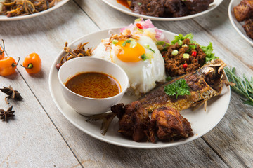various malaysian rice and dishes
