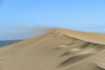 Maspalomas dunes