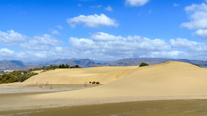 Fototapeta na wymiar Maspalomas dunes