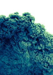 Color drop in water, photographed in motion. Abstract swirling. Cloud of silky bulb under water...