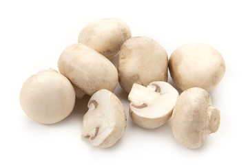 ホワイトマッシュルーム