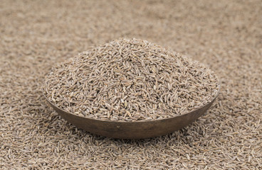 Pile of Dried Cumin Seeds Also Know as Caraway, jira or jeera Its seeds are used in the cuisines of many different cultures