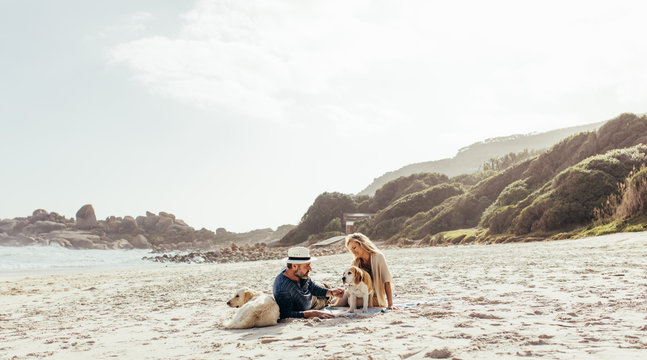 Senior couple relaxing on beach with pet dogs